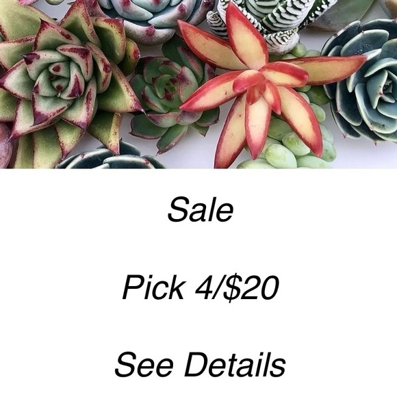 SALE !!!! Pick 4 Items for Only $20 4/$20  ~ See Details ~ Search 4/$20 - Picture 1 of 1